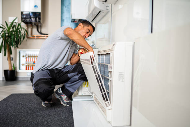 Best Air Duct Cleaning Near Me  in Omao, HI