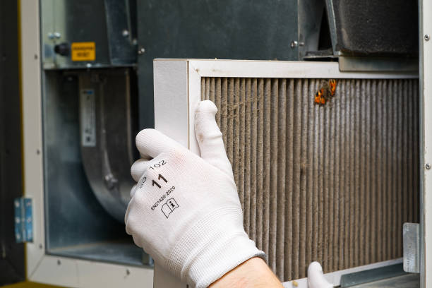 Best Air Duct Inspection  in Omao, HI