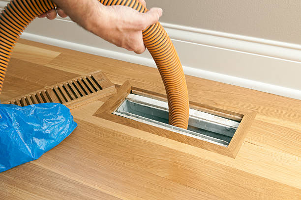 Best Air Vent Cleaning Services  in Omao, HI