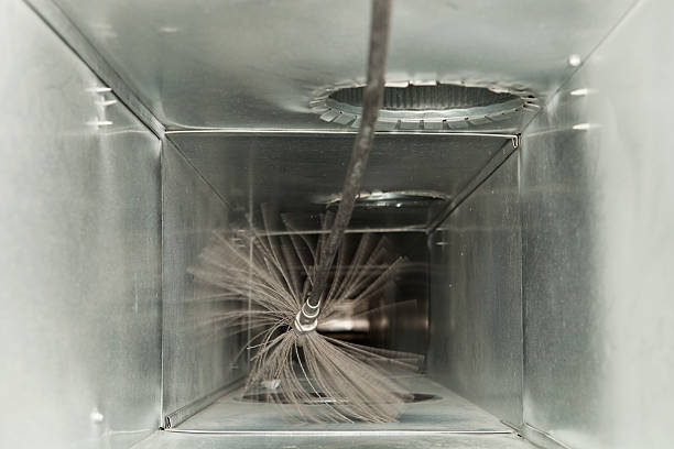 Best Professional Duct Cleaning Services  in Omao, HI