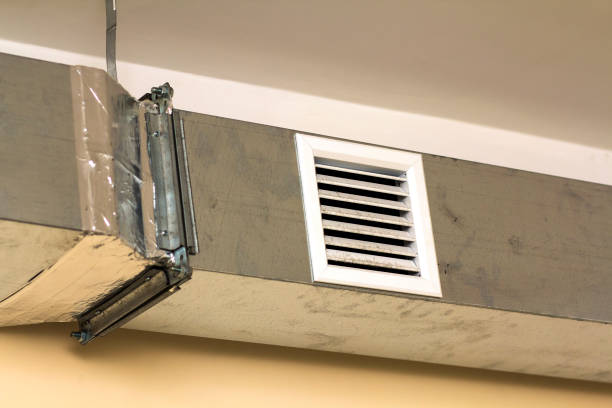 Best Air Duct Mold Removal  in Omao, HI